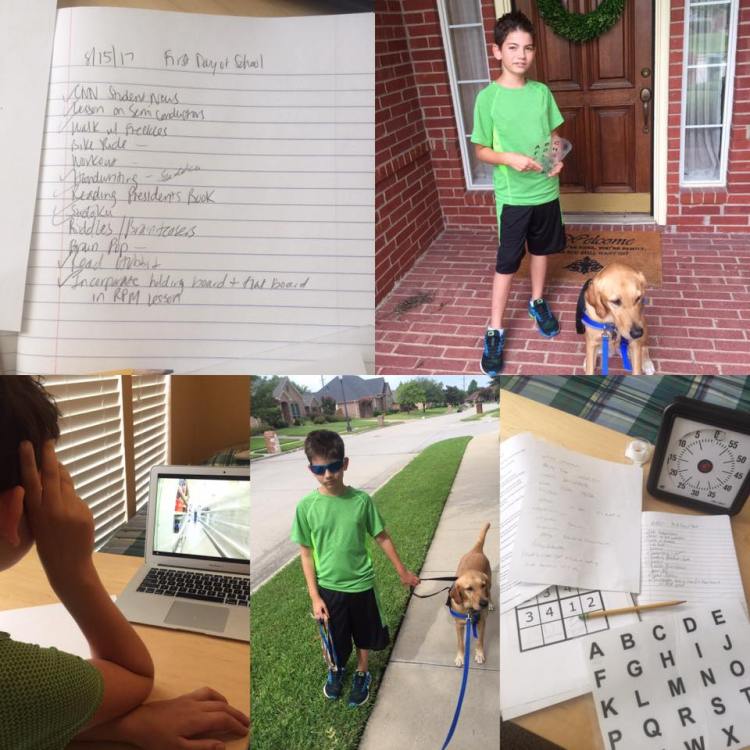 20883012_1778910312123607_4616400462622390293_n